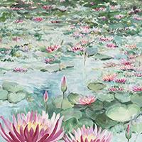 Water Lilies, 2011, Acrylic on Canvas, 92x122cm